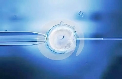 广州泰国试管婴儿囊胚培养的过程是怎样的？