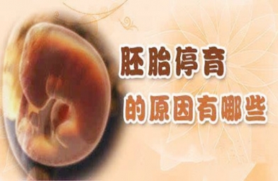 四川泰国试管婴儿，为什么胚胎停育？